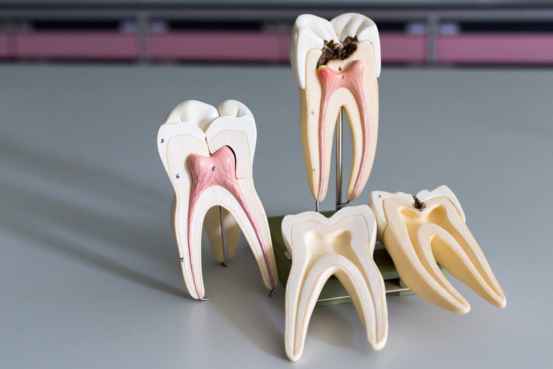How Dental Insurance Can Save You Money